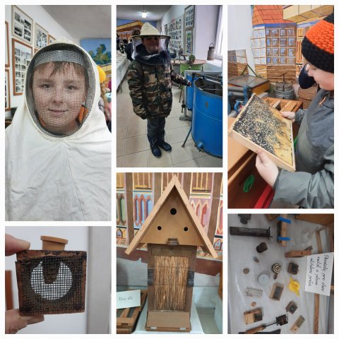 beekeeping open-air museum 2